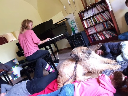 48 enfant chien pedadog 