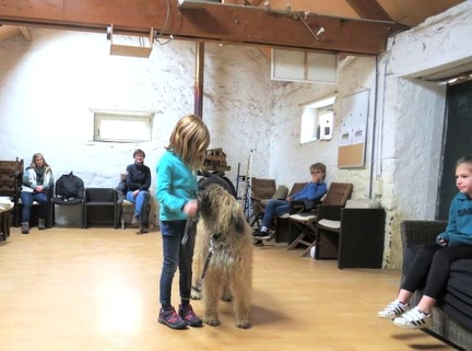 49 enfant chien pedadog 2019-10-30