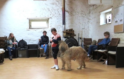 51 enfant chien pedadog 2019-10-30