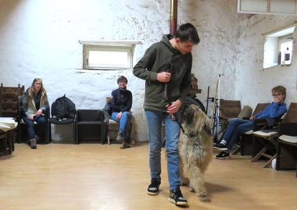 52 enfant chien pedadog 2019-10-30