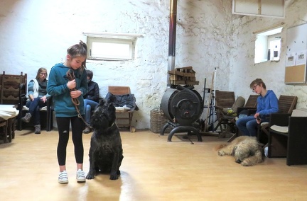 53 enfant chien pedadog 2019-10-30