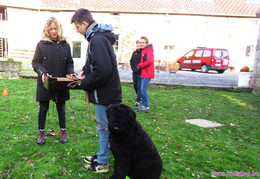 56 enfant chien pedadog 2019-10-31