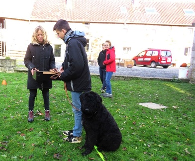 56 enfant chien pedadog 2019-10-31