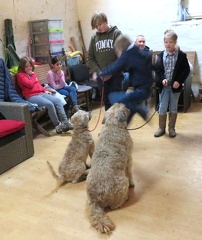 6 enfant chien pedadog 2020-02-24