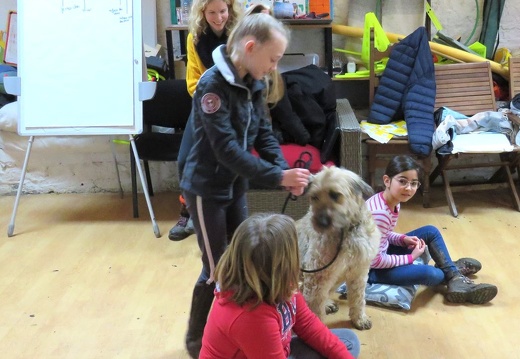 15 enfant chien pedadog 2020-02-24