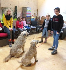 17 enfant chien pedadog 2020-02-24