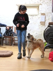 20 enfant chien pedadog 2020-02-24