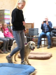 21 enfant chien pedadog 2020-02-24