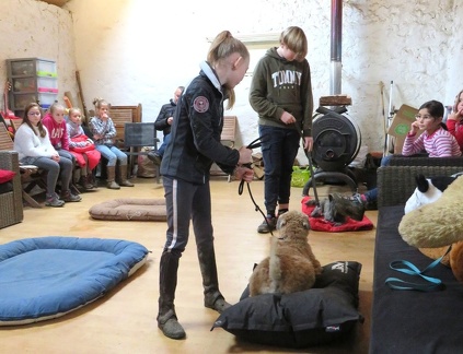 22 enfant chien pedadog 2020-02-24