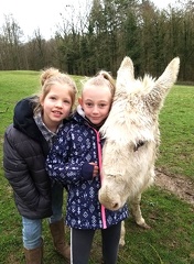 25 enfant chien pedadog 