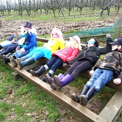 2020 Stage carnavale