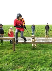 31 enfant chien pedadog 