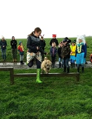 34 enfant chien pedadog 