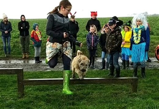 34 enfant chien pedadog 