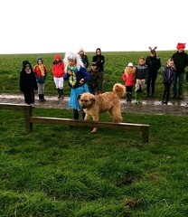 33 enfant chien pedadog 