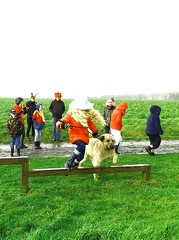 32 enfant chien pedadog 