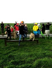 36 enfant chien pedadog 