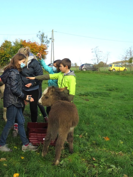 3_enfant_chien_pedadog_2020-11-03.jpg