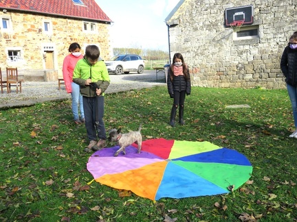 10 enfant chien pedadog 2020-11-03