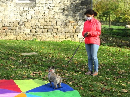 12 enfant chien pedadog 2020-11-03