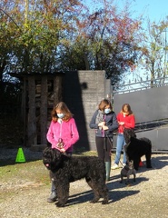 16 enfant chien pedadog 2020-11-04