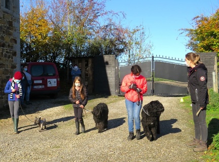 17 enfant chien pedadog 2020-11-04