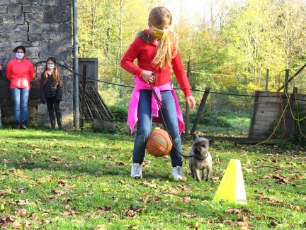 18 enfant chien pedadog 2020-11-04