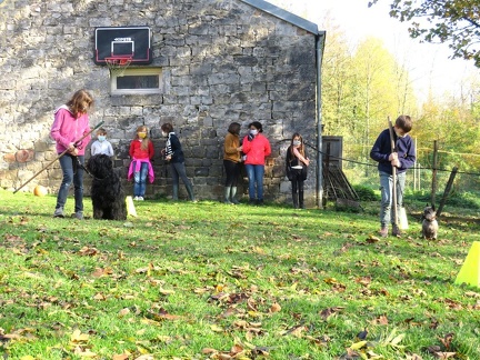 19 enfant chien pedadog 2020-11-04