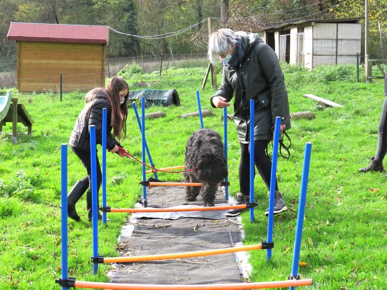 22_enfant_chien_pedadog_2020-11-04.jpg