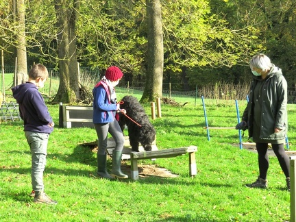 23 enfant chien pedadog 2020-11-04