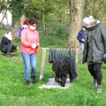 24 enfant chien pedadog 2020-11-04