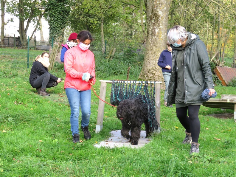 24_enfant_chien_pedadog_2020-11-04.jpg