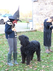 25 enfant chien pedadog 2020-11-04