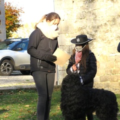 27 enfant chien pedadog 2020-11-04