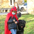 29 enfant chien pedadog 2020-11-04