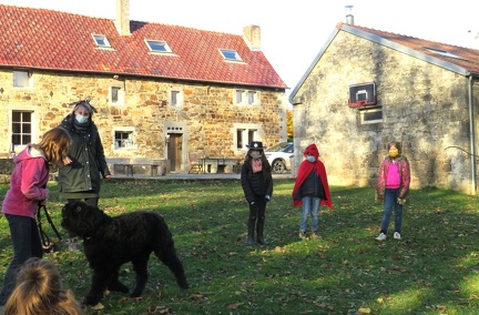 31 enfant chien pedadog 2020-11-04