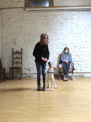 38 enfant chien pedadog 2020-11-02