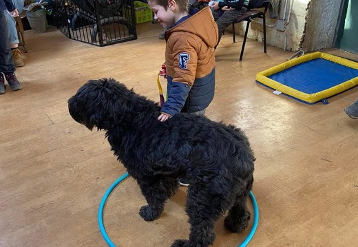 Stage carnaval 2023, les enfants et les chiens