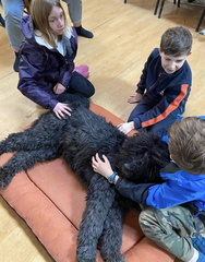 Stage carnaval 2023, les enfants et les chiens