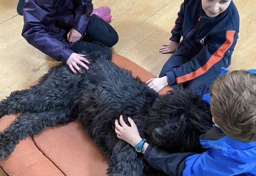 Stage carnaval 2023, les enfants et les chiens