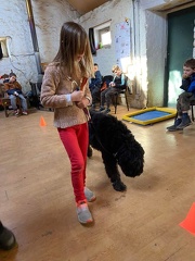 Stage carnaval 2023, les enfants et les chiens