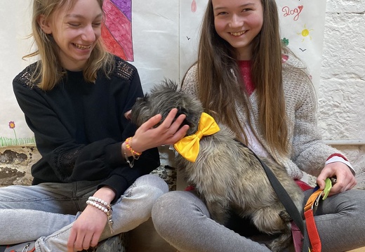 Stage carnaval 2023, les enfants et les chiens