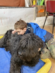 Stage carnaval 2023, les enfants et les chiens