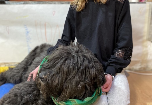 Stage carnaval 2023, les enfants et les chiens