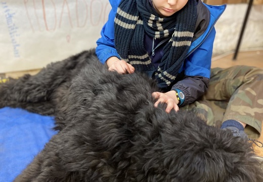 Stage carnaval 2023, les enfants et les chiens