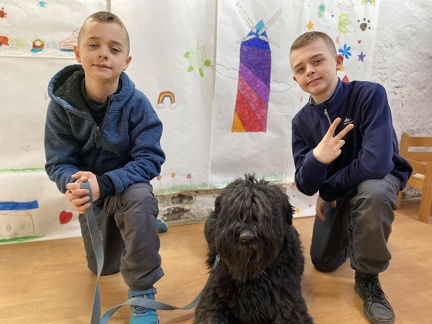 Stage carnaval 2023, les enfants et les chiens