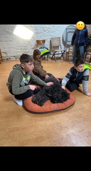 Stage carnaval 2023, les enfants et les chiens