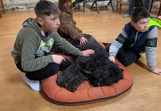 Stage carnaval 2023, les enfants et les chiens