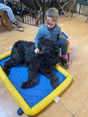 Stage carnaval 2023, les enfants et les chiens