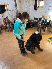 Stage carnaval 2023, les enfants et les chiens